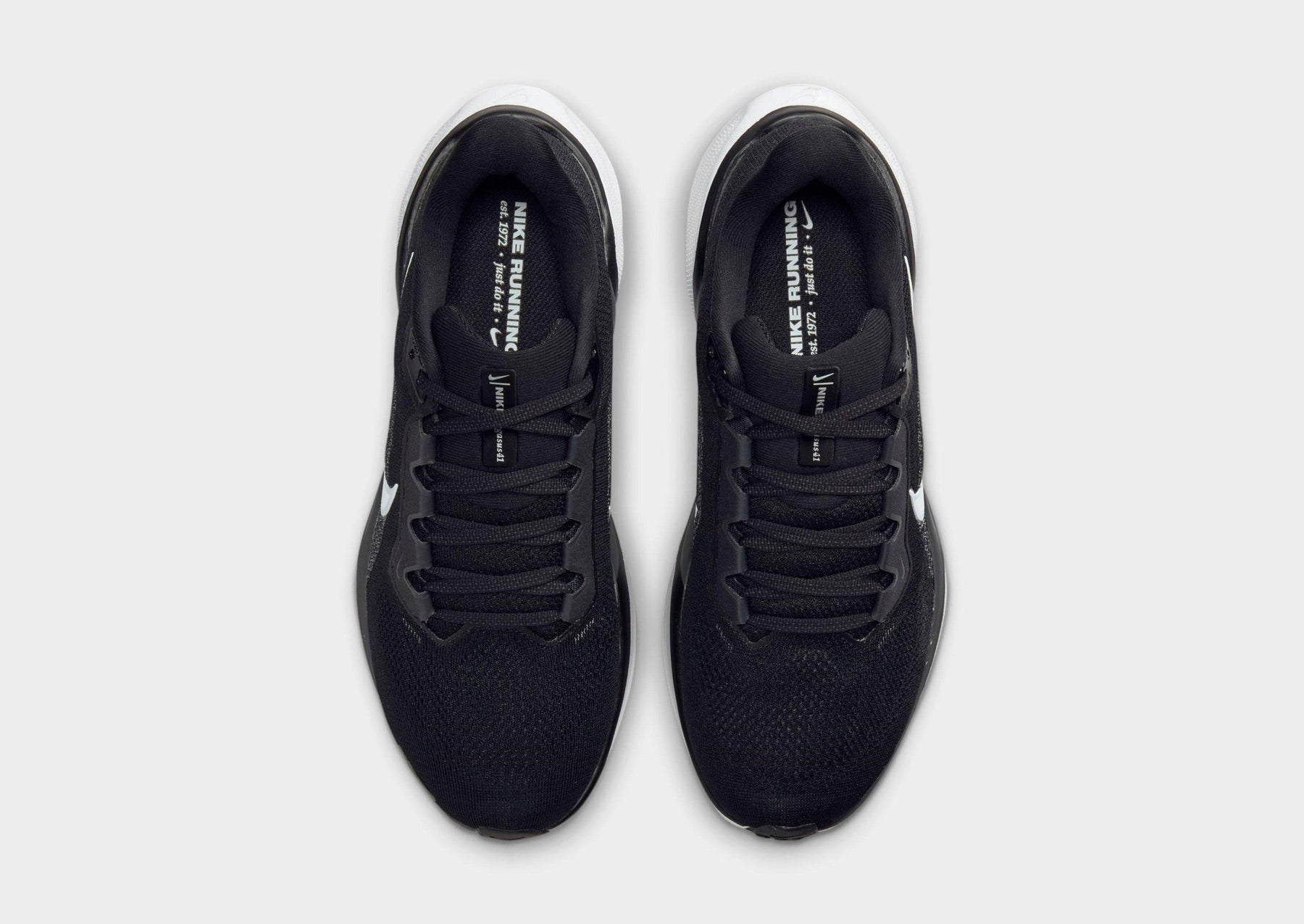 נעלי ריצה Nike Pegasus 41 | נשים