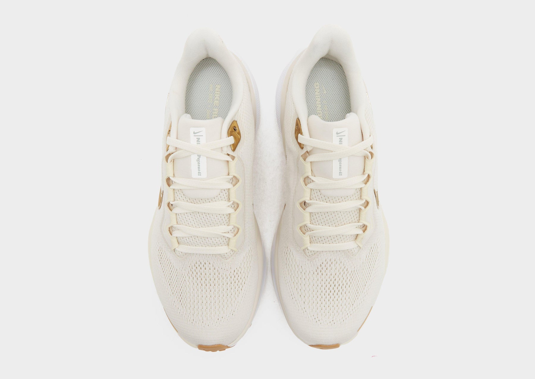 נעלי ריצה Nike Pegasus 41 | נשים