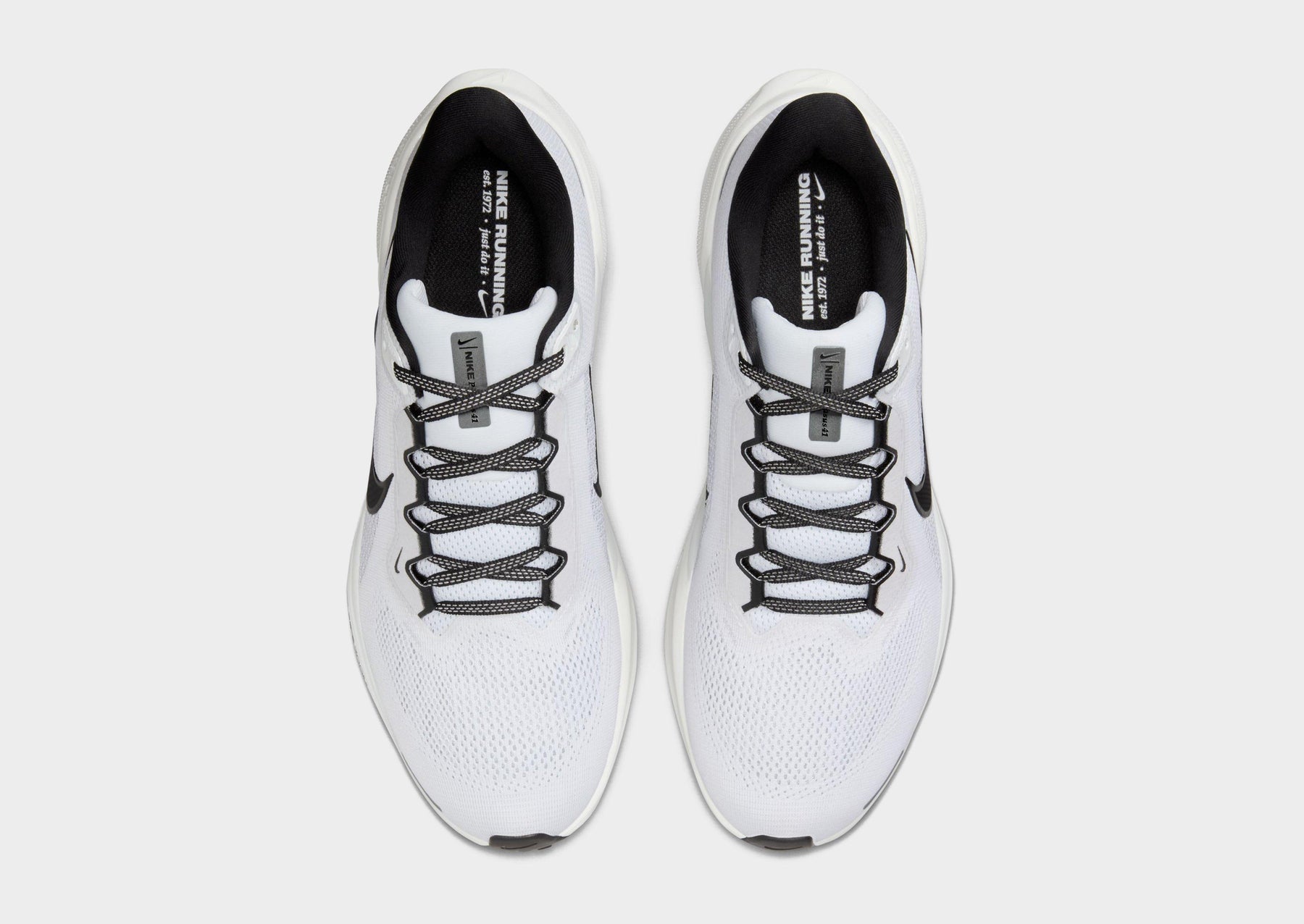 נעלי ריצה Nike Pegasus 41 | גברים