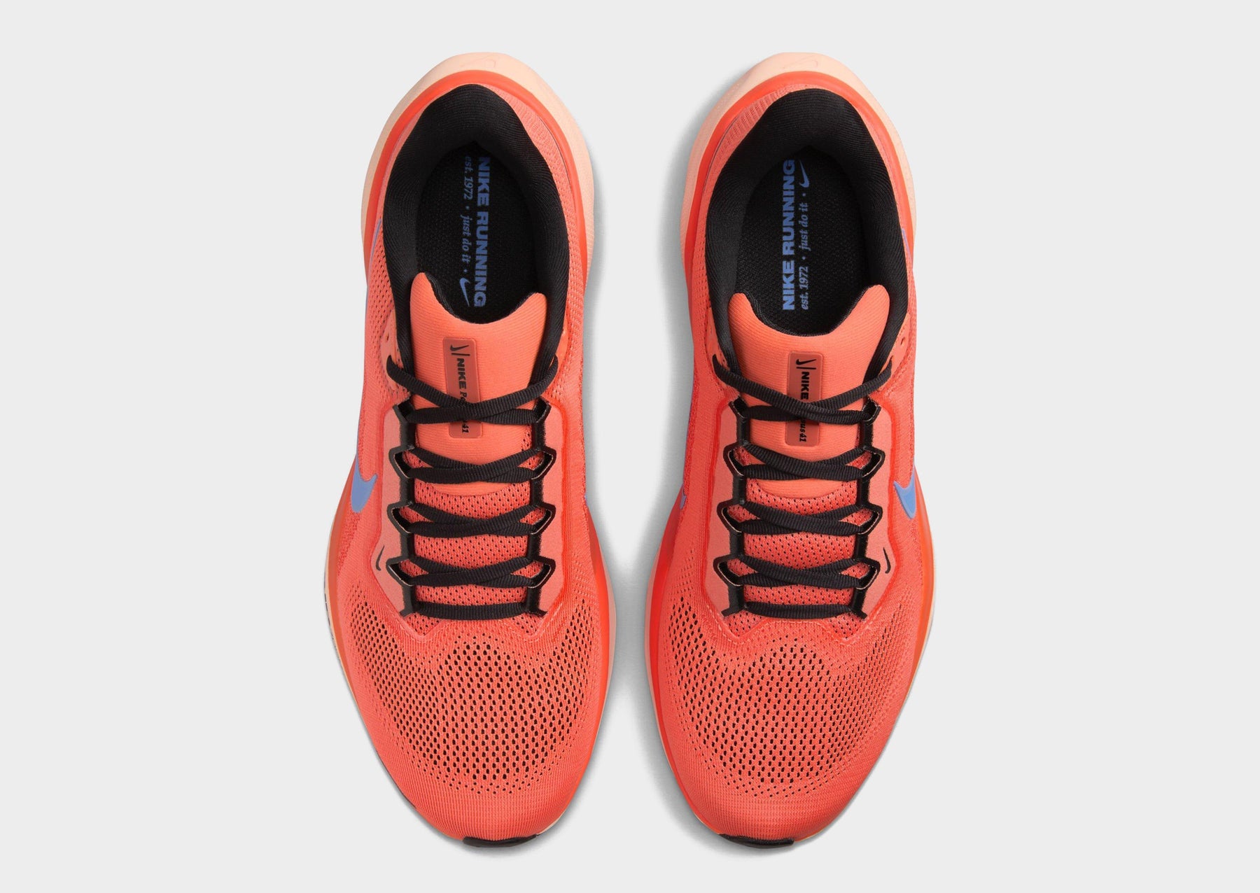 נעלי ריצה Nike Pegasus 41 | גברים