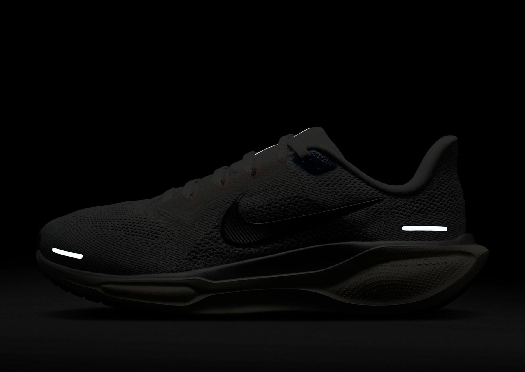 נעלי ריצה Nike Pegasus 41 | נשים