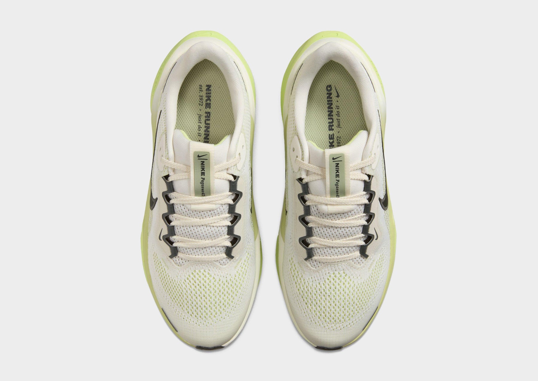 נעלי ריצה Nike Pegasus 41 | ג'וניורס