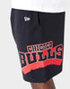 מכנסיים קצרים NBA Chicago Bulls | גברים